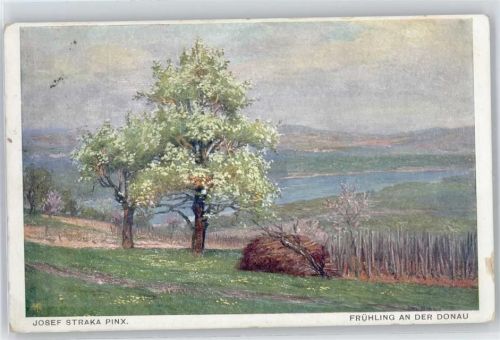 Frühling an der Donau