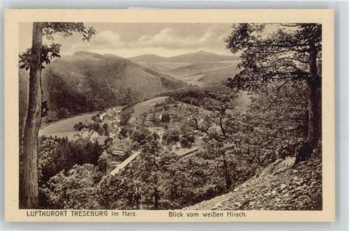 Treseburg Luftaufnahme