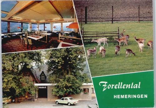 31840 W3253 Hemeringen - Hotel Restaurant Forellental
