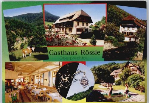 Oberprechtal Gasthaus und Pension Rössle, Kneippbad