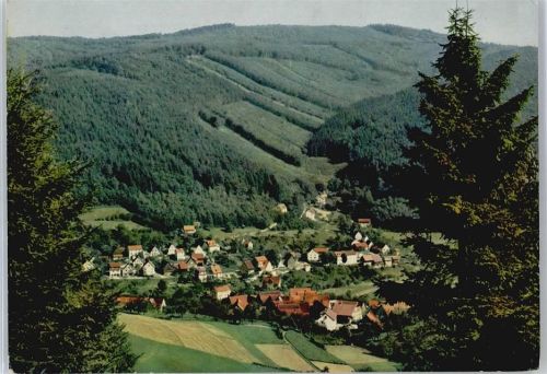 Hirschhorn Berg Panorama