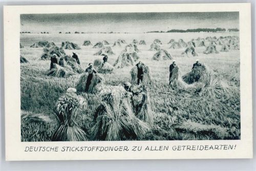 Stickstoffdünger , Getreideanbau
