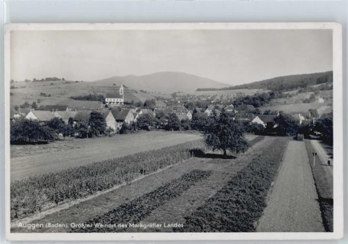 Auggen Weinanbau, Gesamtansicht