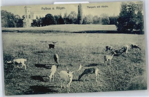 Putbus Tierpark mit Kirche, Hirsch, Reh