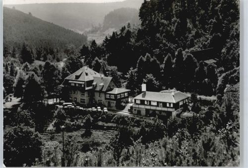 Harzofen Gel. 02.09.74, Naturfreundehaus Elmstein