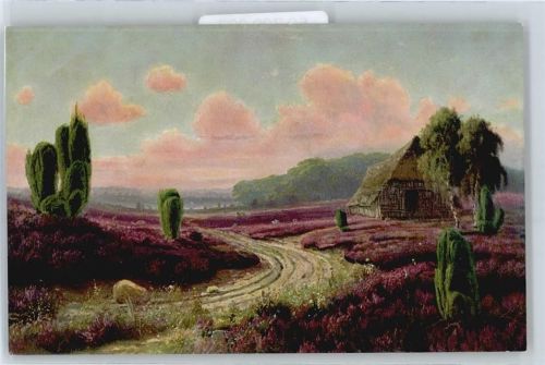H.Otto , Heidelandschaft , Heidekate