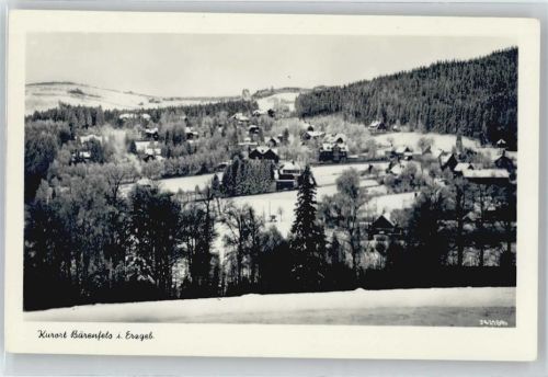 Bärenfels Panorama