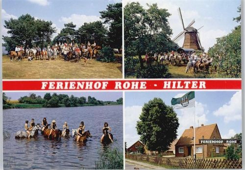 Lathen Windmühle, Pferd, Ferienhof Rohe
