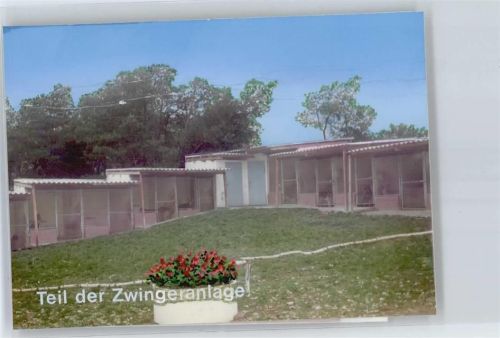 Helmstedt Foto mit Negativ, Hundeschule, Emmerstädter Kiefernhof, Bodemann Betriebe