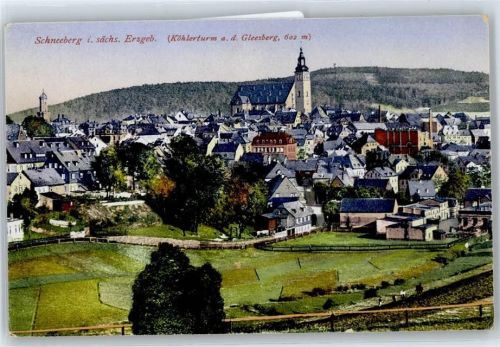 Schneeberg Blick zum Köhlerturm auf dem Gleesberg