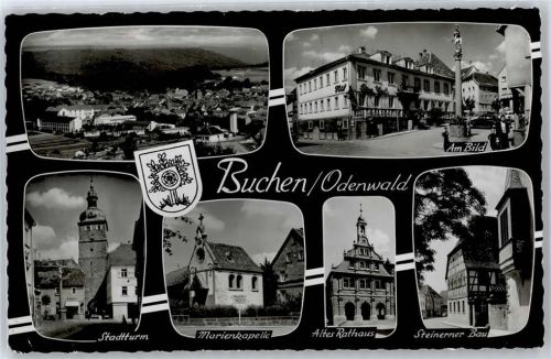 Buchen am Bild