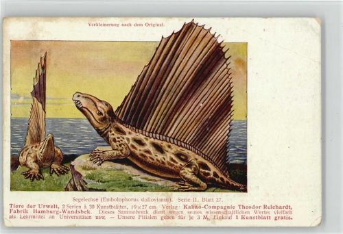 1910 - 1920 Segelechse Werbung Reichardt Schokolade