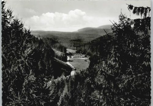 Scharzfeld Bremketal Waldschwimmbad