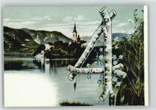 1900 ESD Serie 1510 Birkenast Baum 4