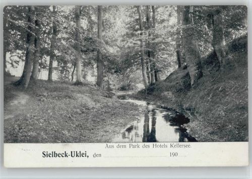 23701 W2420 Uklei - Park Hotel Kellersee