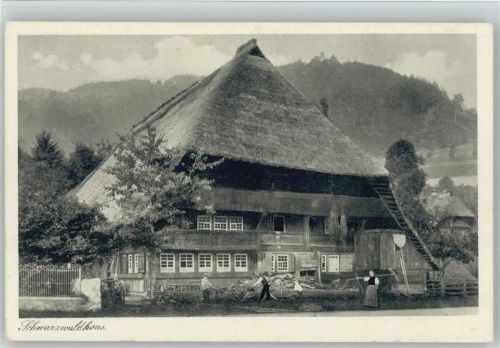 Bauer hackt Holz Foto AK
