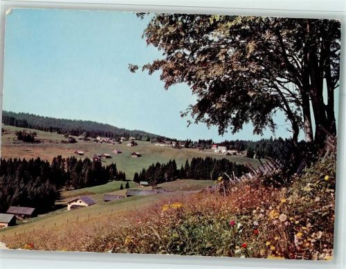 Dornbirn Bödele Nr. 441