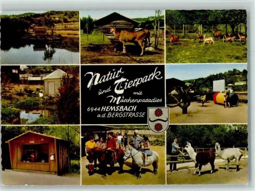 Hemsbach Rehe pferde Lamas Spielplatz Tierpark Naturpark Märchenparadies Mehrfachaufnahme