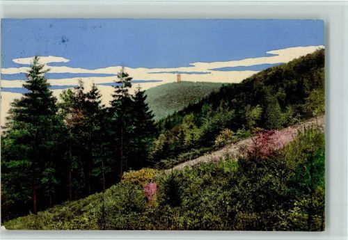 Hagen 1910 Stadtwald Blick auf die Bismarcksäule