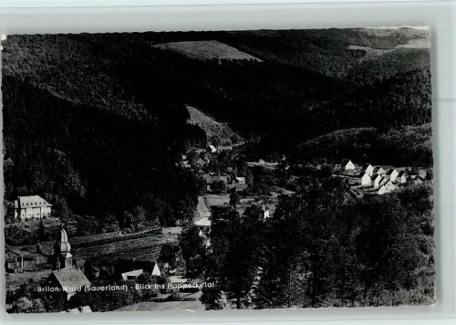 Brilon-Wald Blick ins Hoppecketal