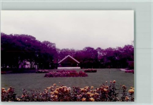 Wangerooge Rosengarten