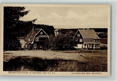 Benneckenstein Villenkolonie beim Waldhaus