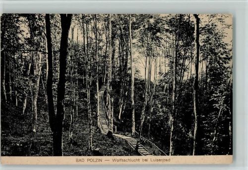 Bad Polzin 1918 Wolfsschlucht bei Luisenbad AK