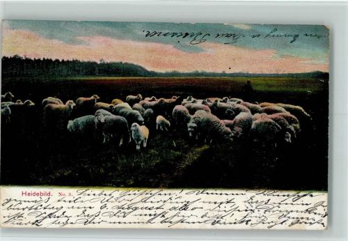 1904 Schäfer mit Herde - Heidebild Nr. 3 AK