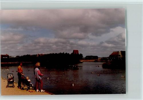 Sylt-Ost Dorfteich Enten Kinderwagen