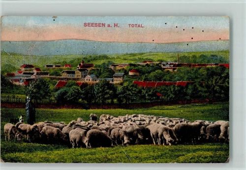 Seesen 1917 Schäfer und Teilansicht vom Ort AK
