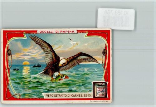Adler holt sich einen Fisch, Sammelbild Liebig Raubvogel