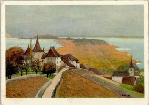 Erlach 1930 mit St. Peterinsel , sign Zeltner Nr. 509 AK