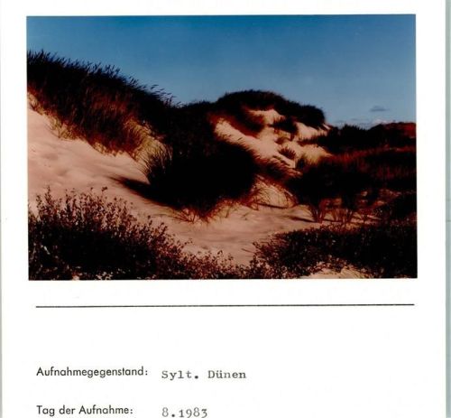 Dünen Foto montiert auf Karton