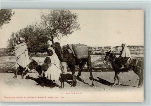 Caravane arabe Kamele Esel