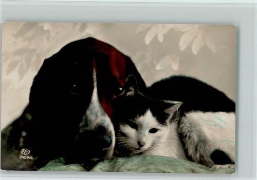 1917 Serie 6409-6 Hund und Katze, handcoloriert AK