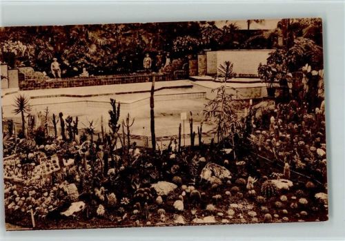Gand Gentsche Floralien 1933 - Kakteen AK