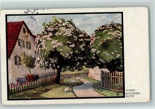 1913 sign Weber - Holunderblüte- Wäsche hängt am Zaun AK