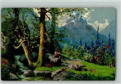 1905 Bergflora, Wanderer, kleiner Bach AK