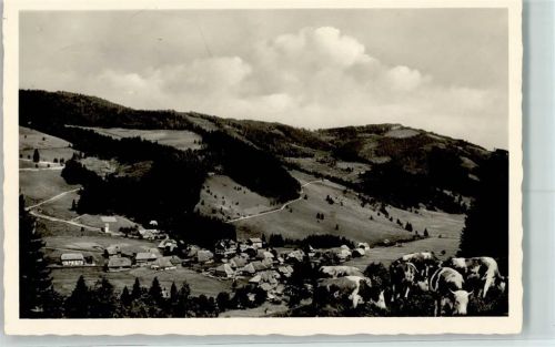 Menzenschwand