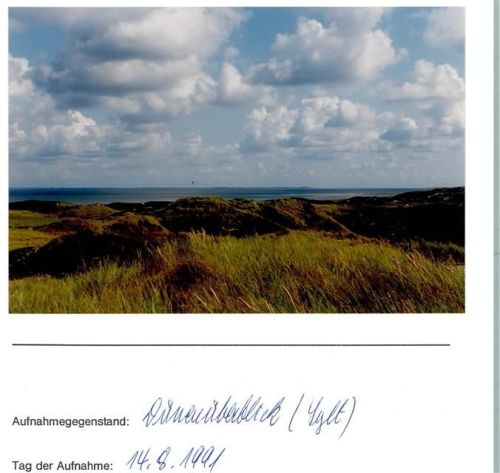 Dünen Foto montiert auf Karton Natur FOTO KEINE AK