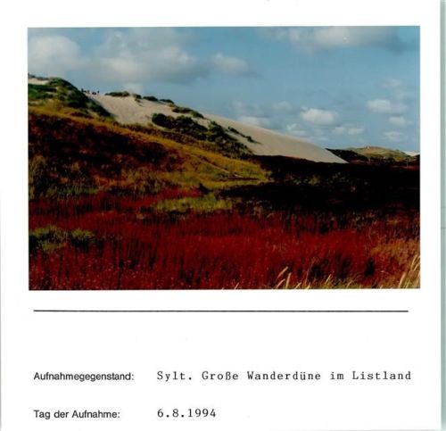 List Große Wanderdüne Foto montiert auf Karton