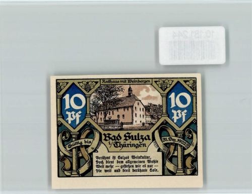 Bad Sulza Notgeld Technikum Rathaus mit Weinbergen