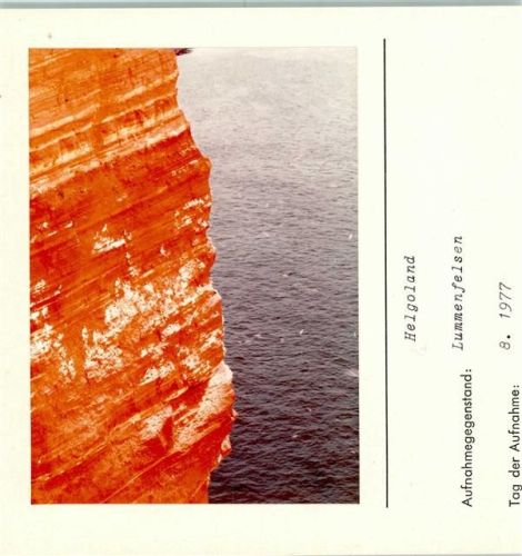 Helgoland Westküste Lummenfelsen Foto montiert auf Karton