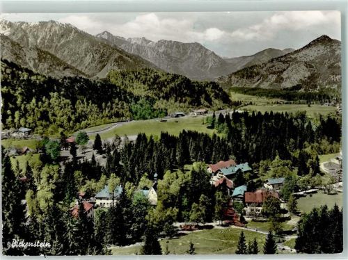 Birkenstein Bickenstein