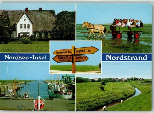 Nordstrand Wegweiser Pferdekutsche Hafen Schafe