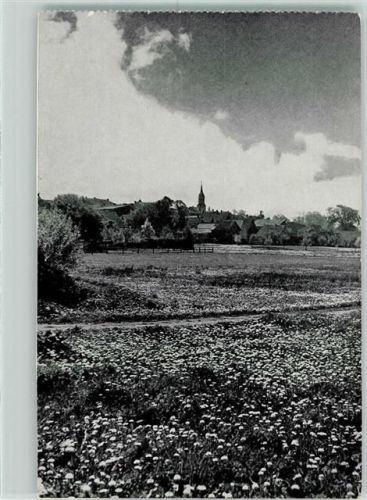 Wangerin Wegorzyno - Wangerin in blühenden Wiesen