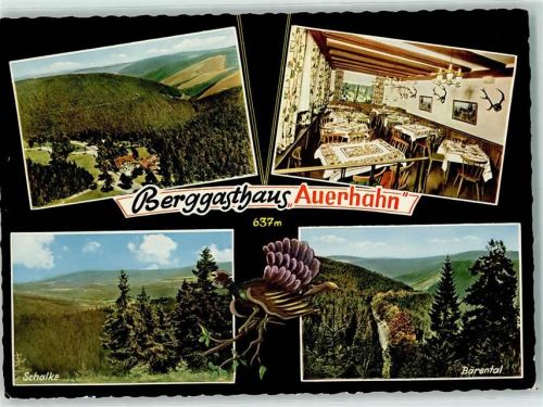 Auerhahn Berggasthaus Zum Auerhahn Schalke Bärental