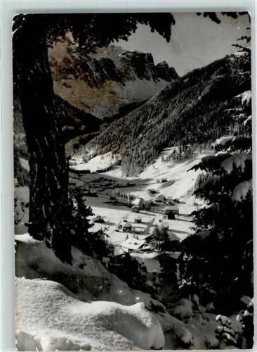 Selva Winter