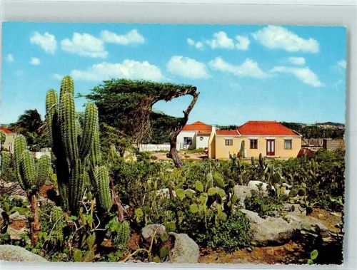 Oranjestad Cactusfield with typical country houses