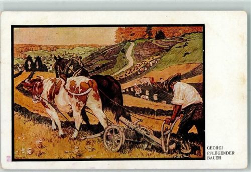 1918 Landwirtschaft Ochsen Pflug sign. Georgi